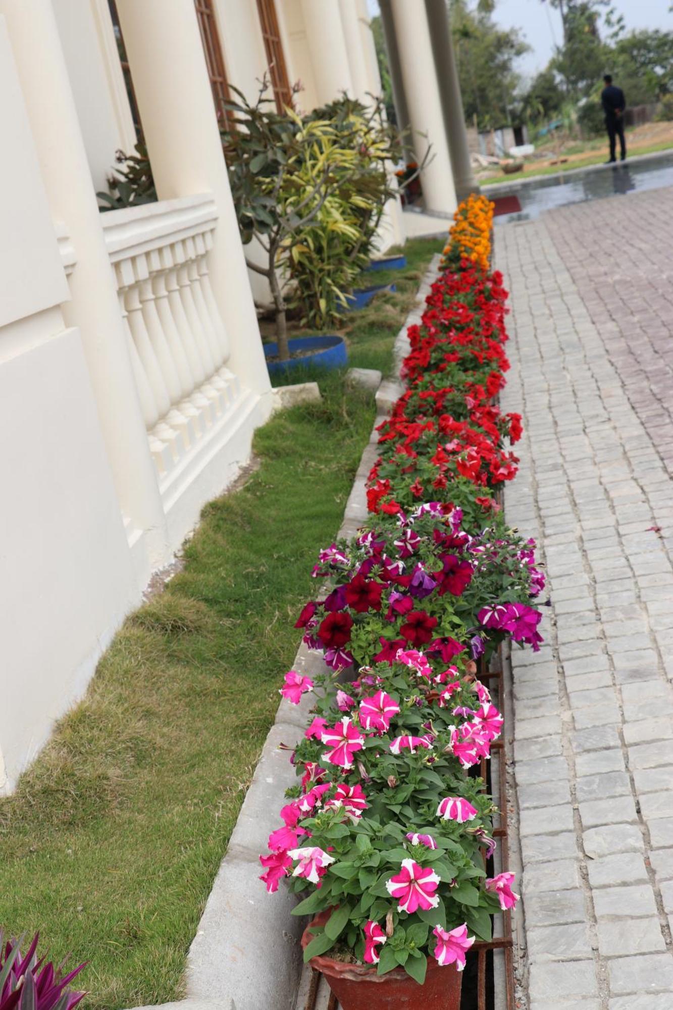 Royale De' Casa Resort Kaziranga Exterior photo